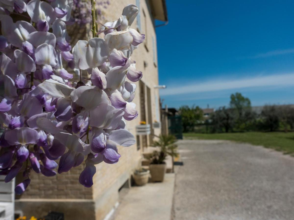 Bed and Breakfast Il Glicine Falerone Экстерьер фото